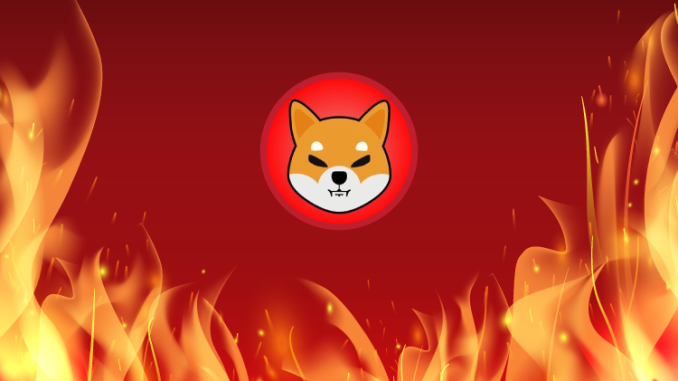 Shiba Inu Lead Dev Confirms Development Of Burn Portal Shiba Inu burn portal