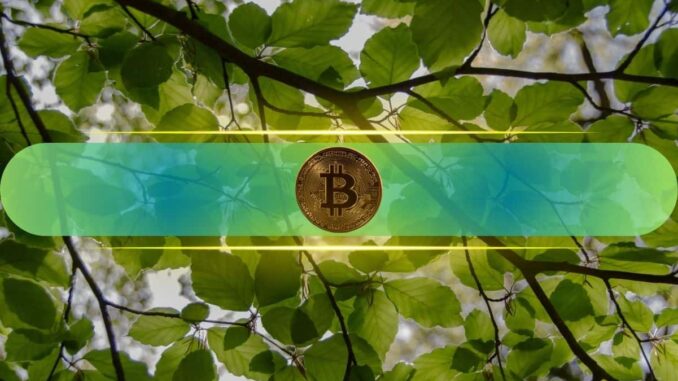 After a Historic January, What’s in Store for Bitcoin in After a Historic January, What’s in Store for Bitcoin in February?