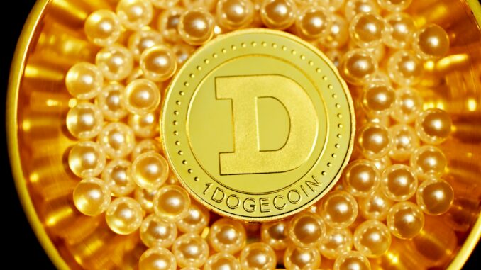 Crypto Pundit Says Dogecoin Price At $1 Is Only A Dogecoin