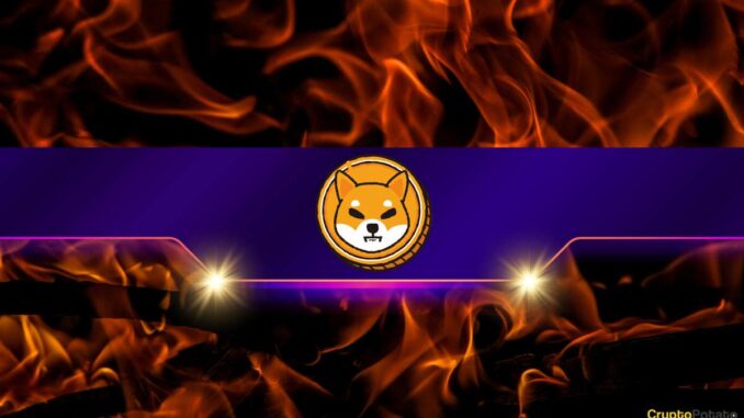 Is the SHIB Price Ready to Take off? Is the SHIB Price Ready to Take off?