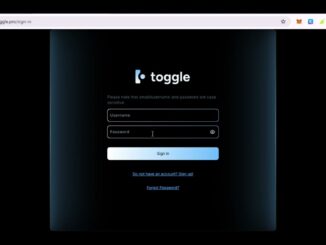 Toggle Pro AI Guide