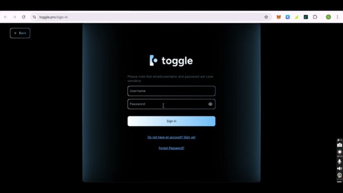 Toggle Pro AI Guide