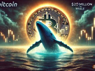 $250M Bitcoin Whale Awakens After 8 Years – Massive Move Stirs Market
