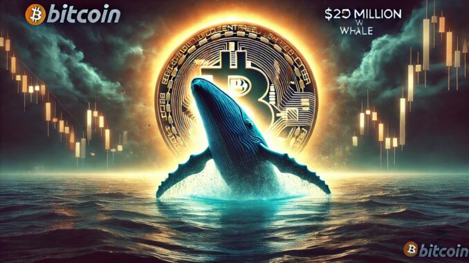 $250-Million Bitcoin Whale Awakens After 8 Years – Massive Move $250M Bitcoin Whale Awakens After 8 Years – Massive Move Stirs Market