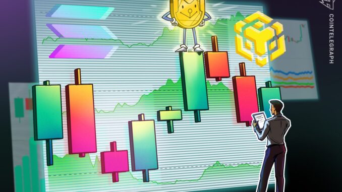 BNB Chain catches memecoin wave as Solana wipes out