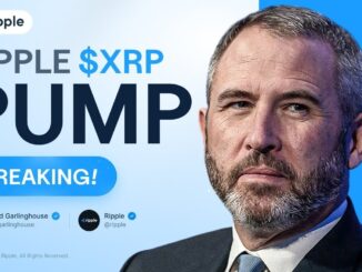 Brad Garlinghouse: RIPPLE BULL RUN CONFIRMED! XRP PRICE PREDICTION!