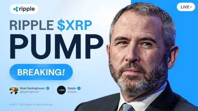 Brad Garlinghouse: RIPPLE BULL RUN CONFIRMED! XRP PRICE PREDICTION!