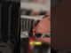 Ultimate Guide to Setting Up Your Mining Rig #shorts #Bitcioin #crypto #cryptocurrencymining