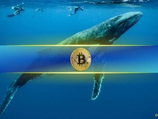Bitcoin Whales Are Back: Could BTC Be Poised for a Breakout?