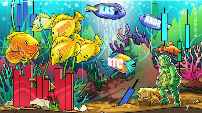 Bitcoin rallies amid macroeconomic concerns — Are HYPE, ONDO, RNDR Bitcoin rallies amid macroeconomic concerns — Are HYPE, ONDO, RNDR and KAS next?