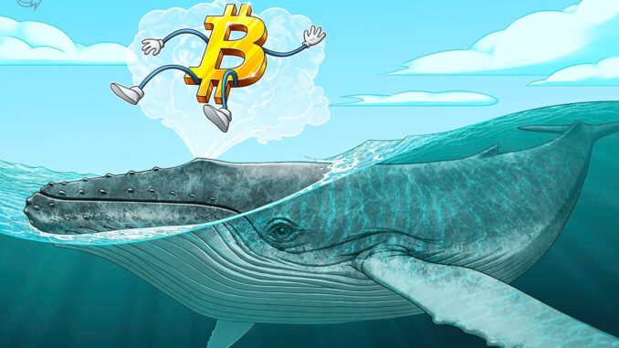 Bitcoin whales absorb 300% of newly mined BTC supply — Is Bitcoin whales absorb 300% of newly mined BTC supply — Is $100K next?