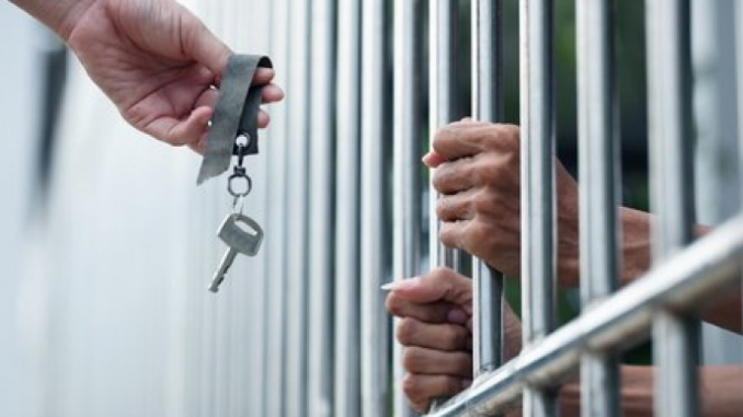 Ethereum’s Controversial Developer Freed Before Full Sentence Ethereum