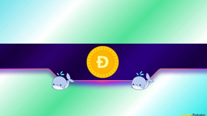 Is DOGE Poised for a Rally? Is DOGE Poised for a Rally?