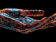 New open source AI company Deep Cogito releases first models and they're already topping the charts