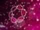 Polkadot Ecosystem Goes Multi-Chain With XCM Launch