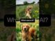 We mixed real photos with AI-made ones from Lummi—think you can spot the difference?