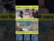 #comedy🤣🤣#comedy 🤣🤣shorts#comedy video#AI video #AI shorts#real foods#AI folds🤣🤣#funny video#news