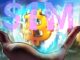 Bitcoin to $1M by 2029 fueled by ETF and gov’t demand — Bitwise exec