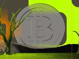 Kenya’s Largest Slum Has Become a Thriving Bitcoin Economy