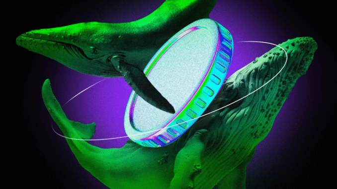 Stablecoin Whales Drive Record USDT Activity on TRON Whales Drive Record Stablecoin Activity on TRON