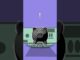 This AI secret Can Make You Money in 2025 | Beginner's Guide to AI Profits  #chatgpt    #bitcoin