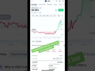 #xdc could be the next coin to pump #cryptonews #trading #crypto